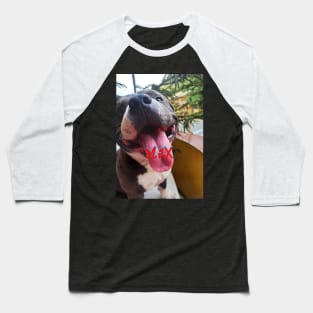 Max Tongue Out Baseball T-Shirt